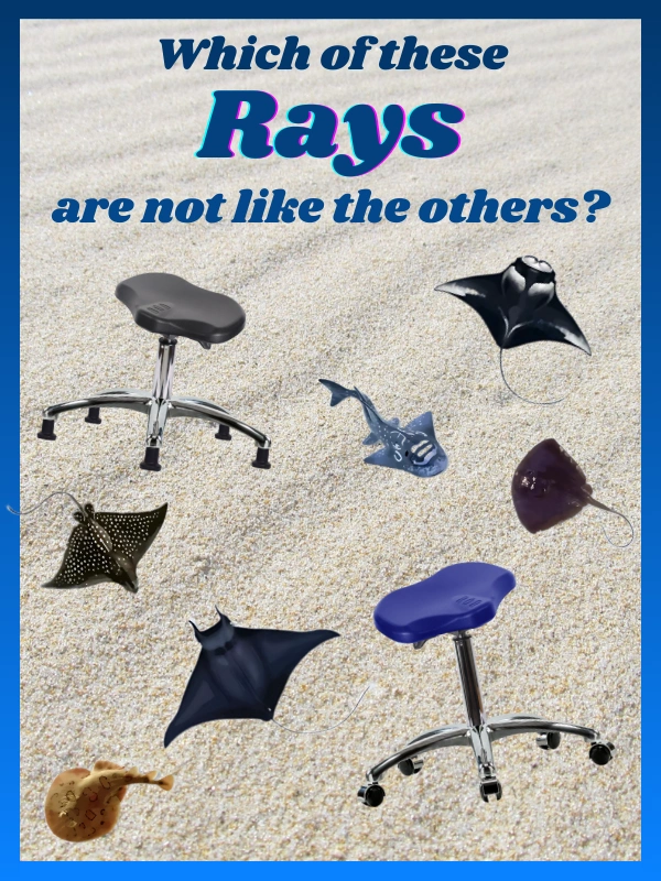 Promotional material of our new rays